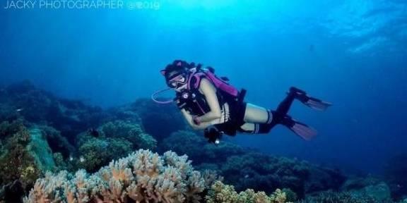 诱捕小浣熊
